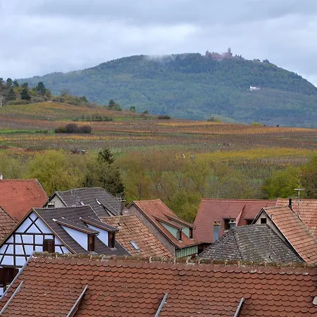 S'harzala Jaune アパート ベルクハイム