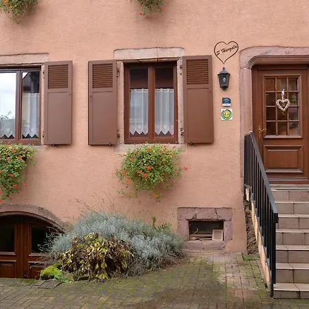 S'harzala Jaune Apartment *